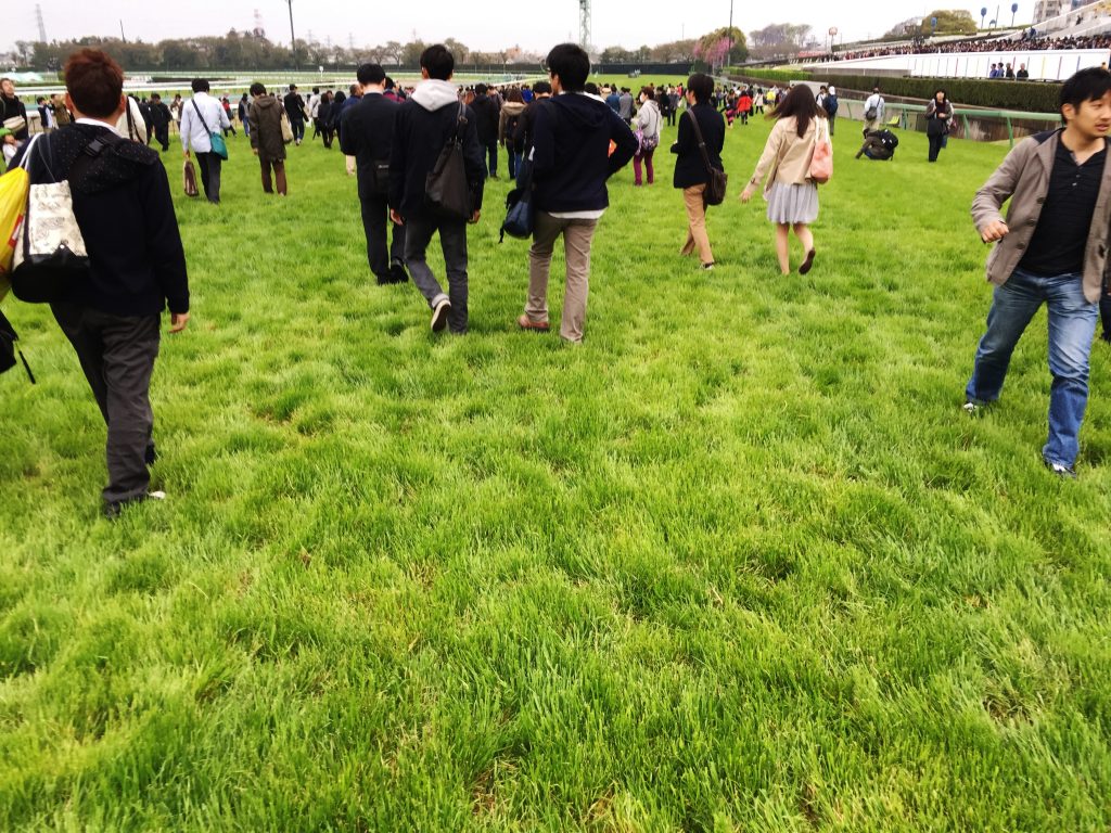 中山芝１