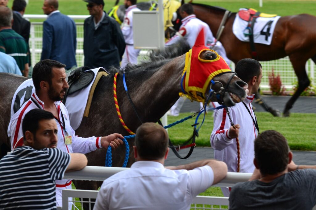 相手に選んだ9番の馬