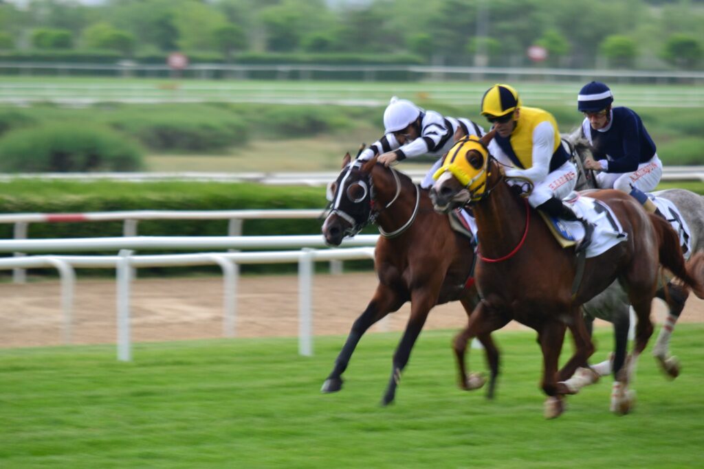 3馬身差で圧勝する1番