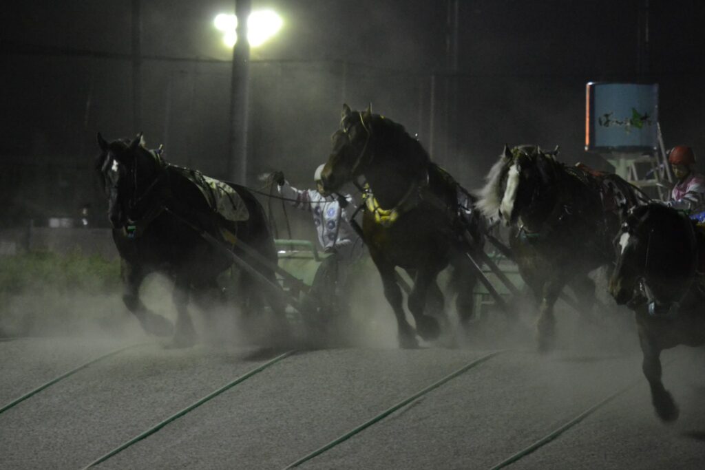 鉄ソリを曳いて坂を越える輓馬