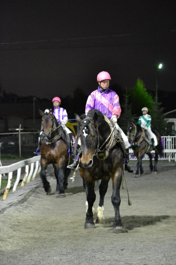 帯広競馬場のパドックを歩く輓馬