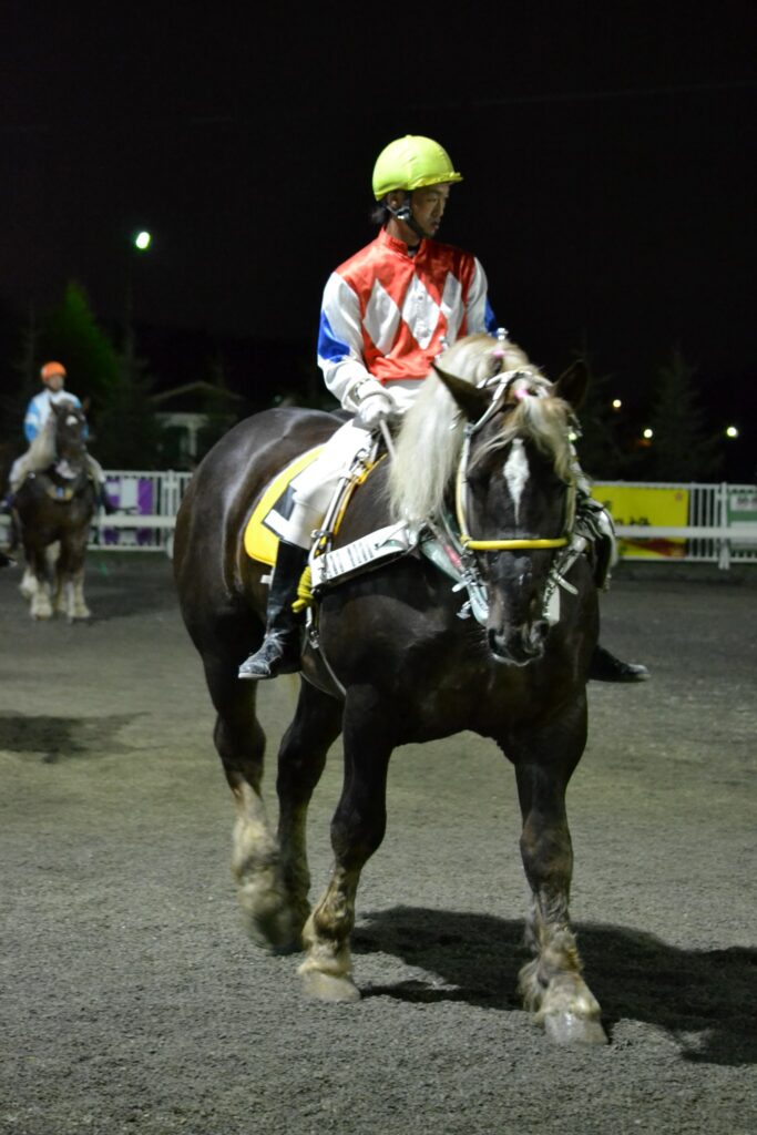 夜のパドックの輓馬
