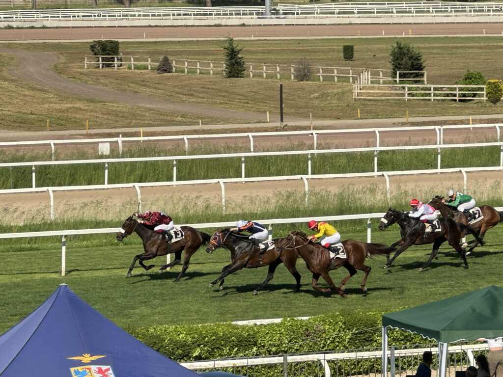 ゴール前の直線を駆ける馬群