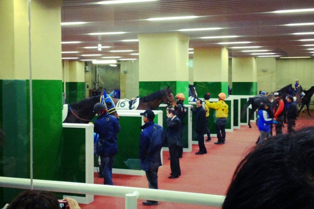 中京競馬場の屋内パドック