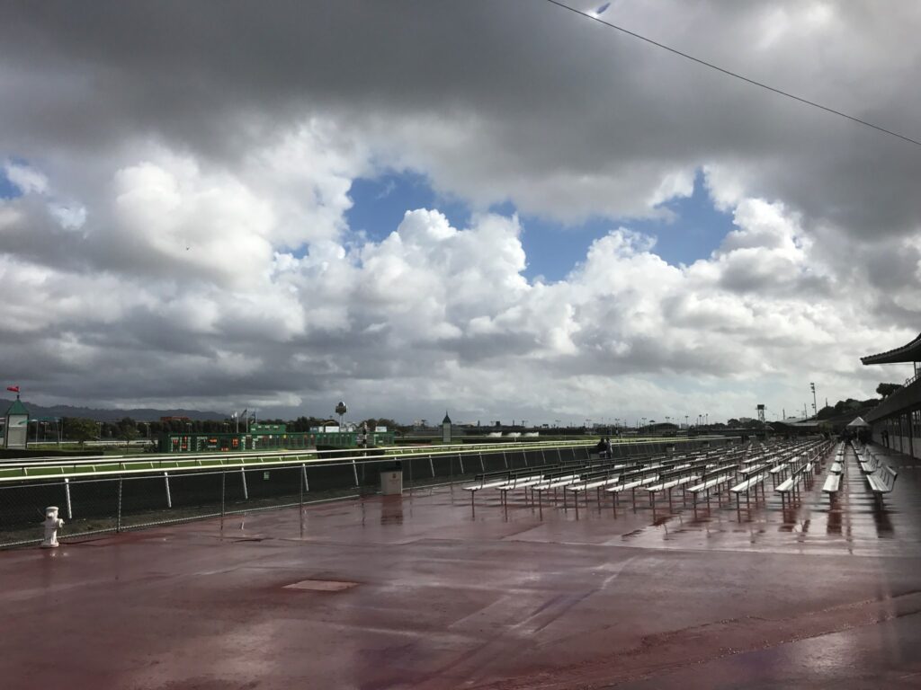 雨に濡れたゴールデンゲートフィールズのスタンド前
