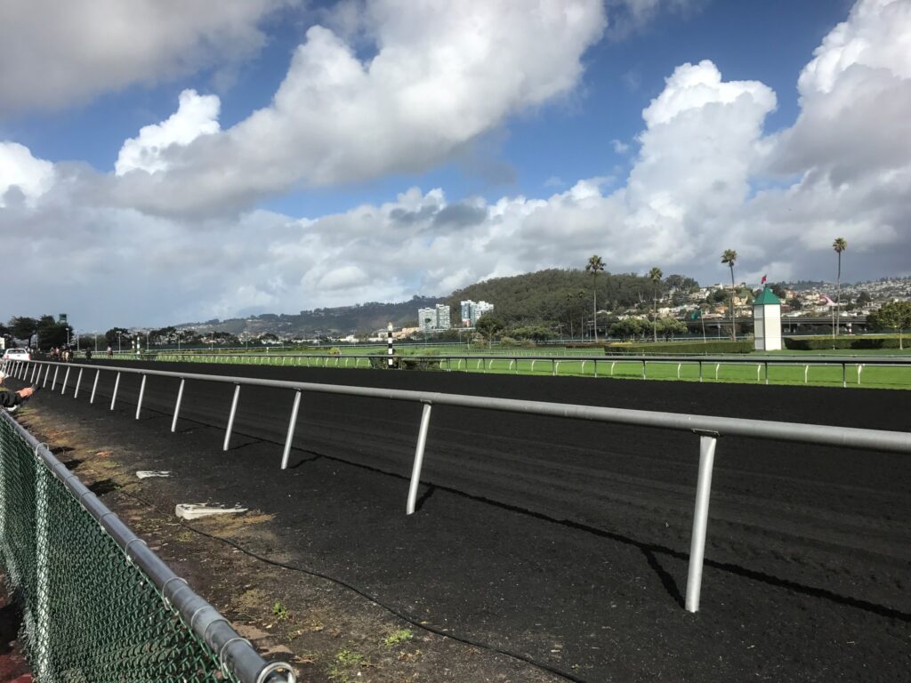 ゴールデンゲートフィールズのダートコース。土のような馬場