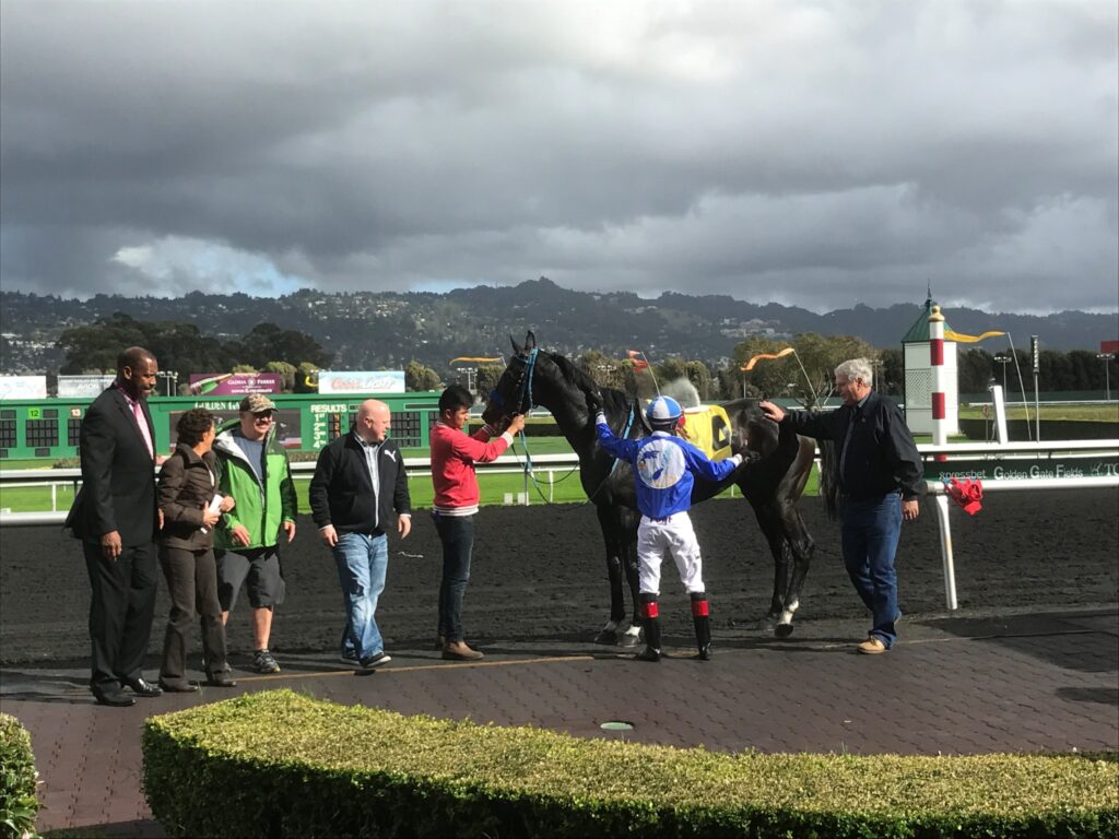 レース後の勝ち馬の記念撮影