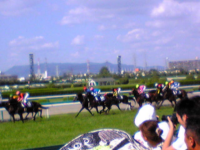 2009年宝塚記念の日、阪神競馬場のゴール前を走る馬群