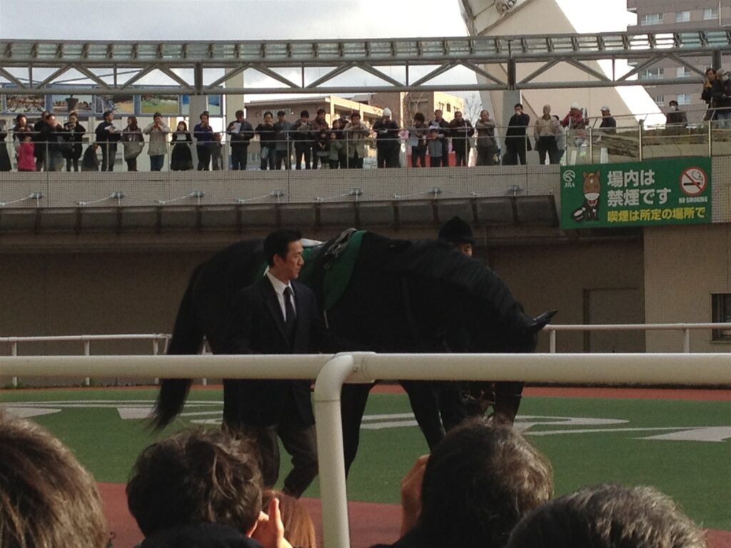 2012年12月、年末の阪神競馬場のパドック