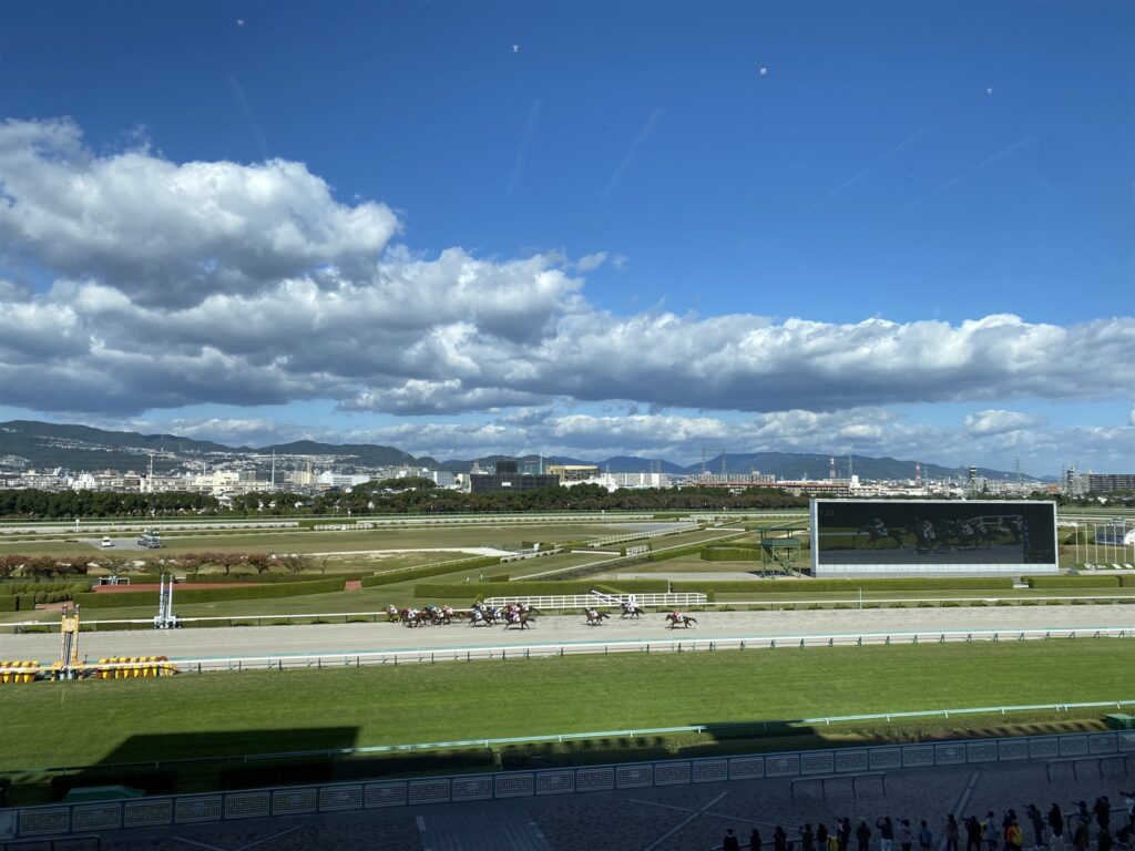 2021年10月、阪神競馬場の直線を走る馬群