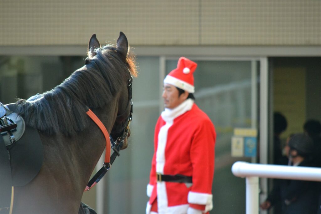 2011年12月24日、阪神カップの日にサンタクロースの衣装で馬を曳く厩務員