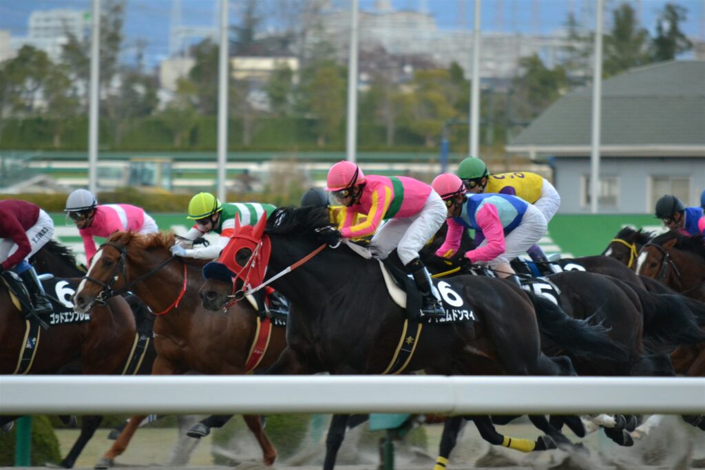 2011年阪神カップ、直線で馬群が競り合う