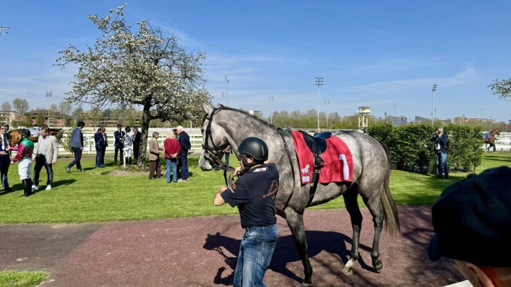 サンシーロ競馬場のパドック