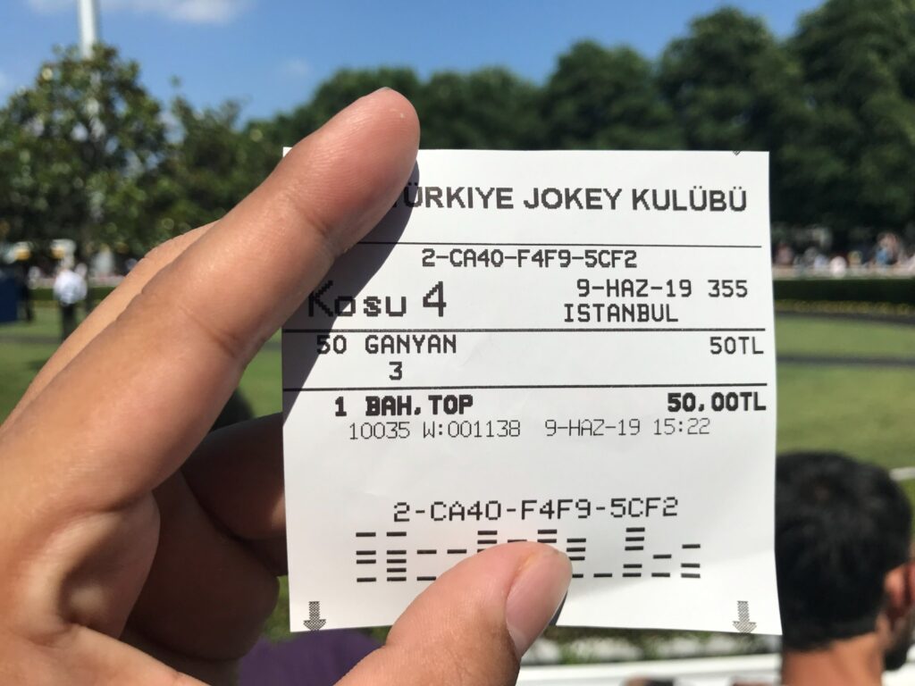 パドックで目を引いた3番の馬