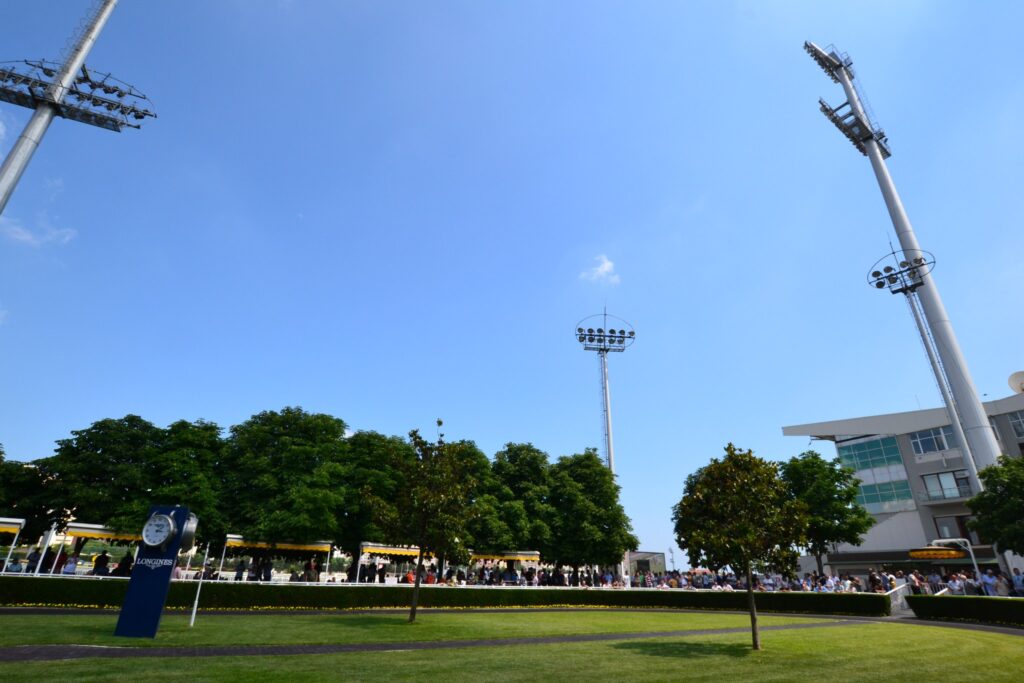 ヴェリエフェンディ競馬場のコース