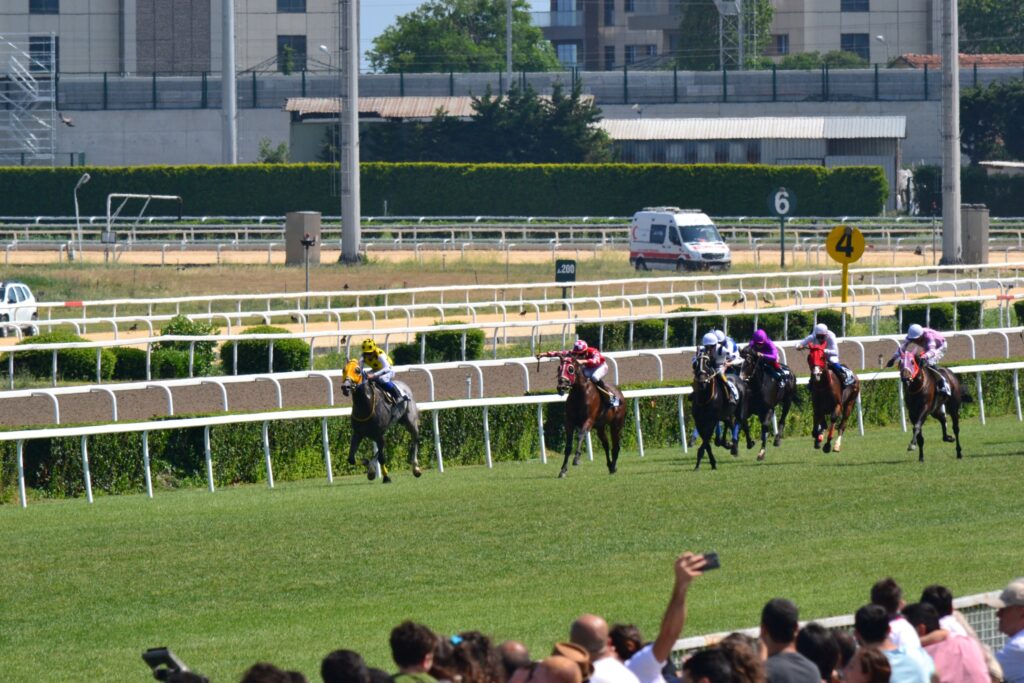 楽逃げする1番人気の4番