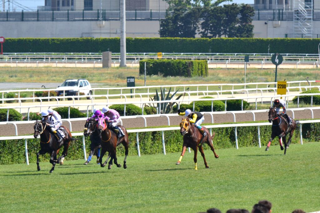 大外から伸びる3番