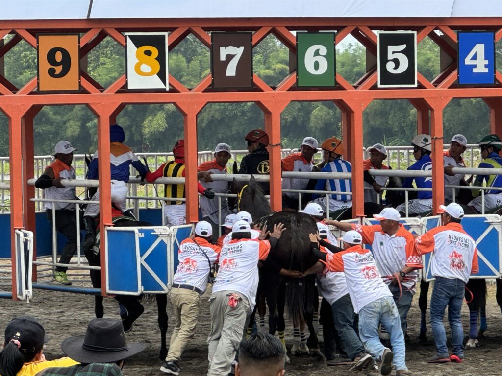 ゲート入りを嫌がる馬を大勢で押し込む