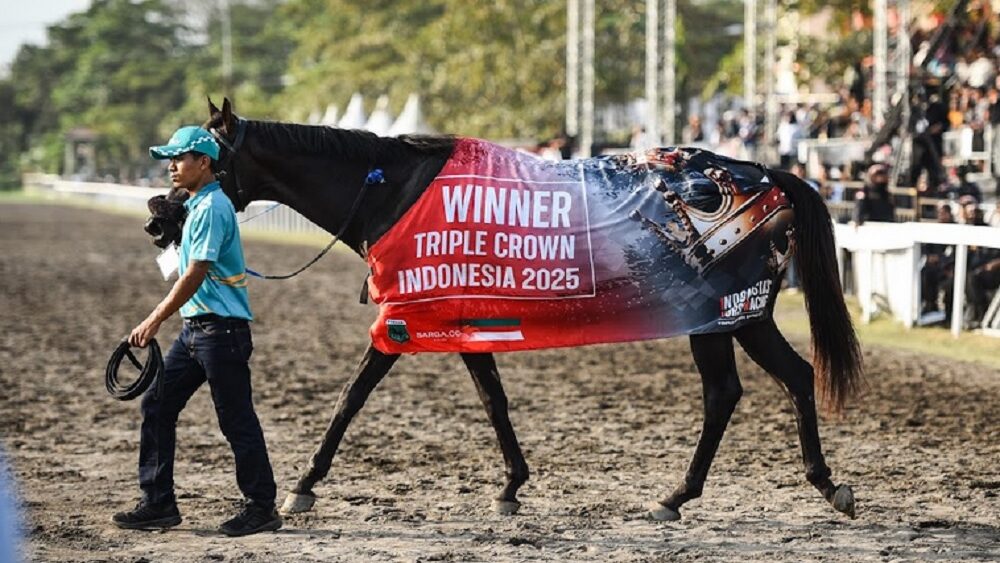 「WINNER TRIPLE CROWN INDONESIA 2025」の馬着をかけられ、スルタン・アグン競馬場を引かれて歩くキングアルゼンチン