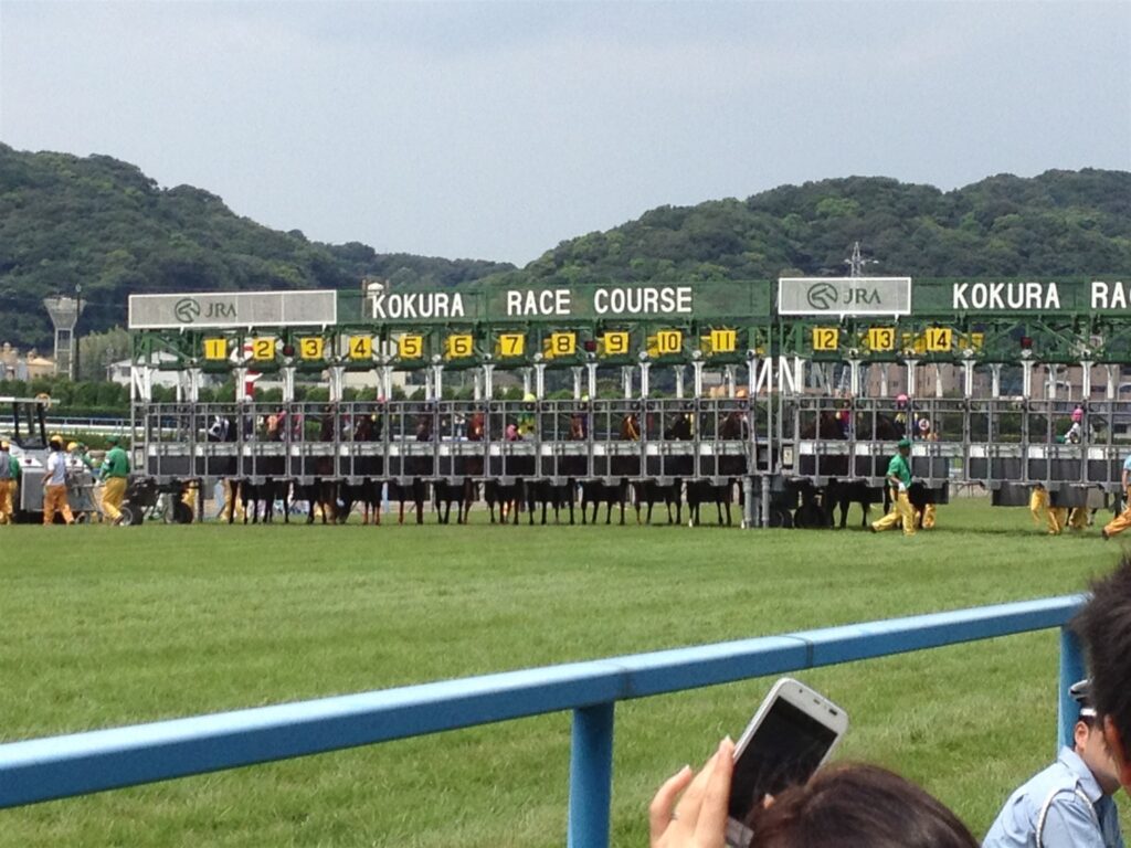 2012年8月、小倉競馬場のスターティングゲートに入る馬たち