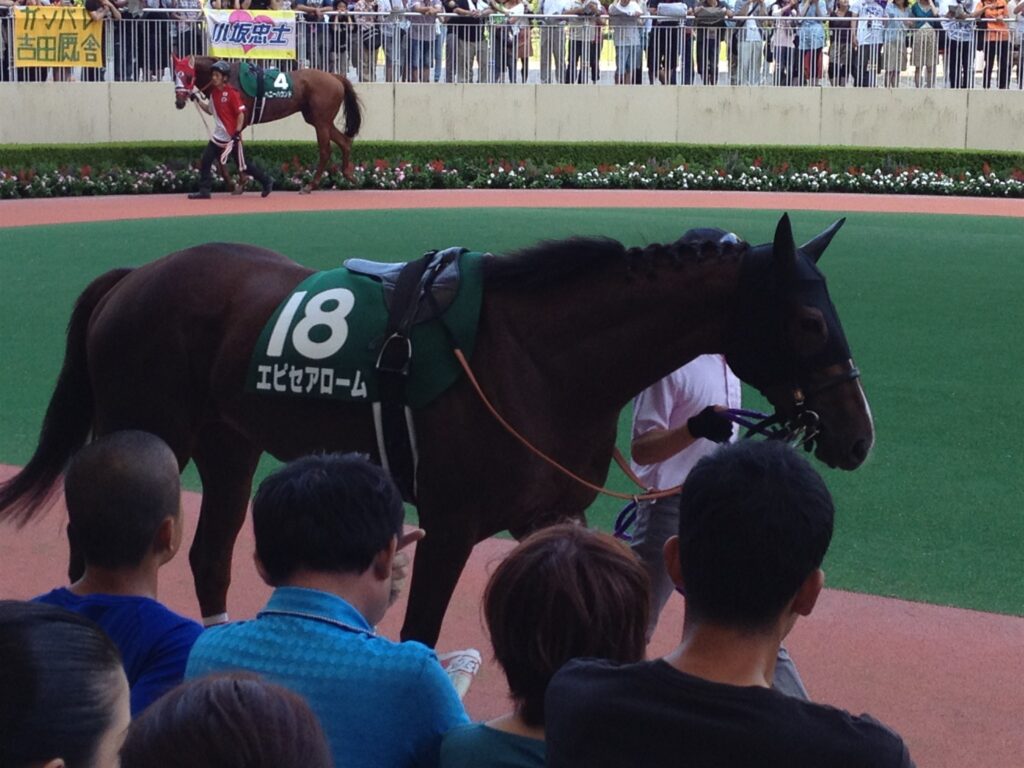 2012年北九州記念のパドックを周回する馬