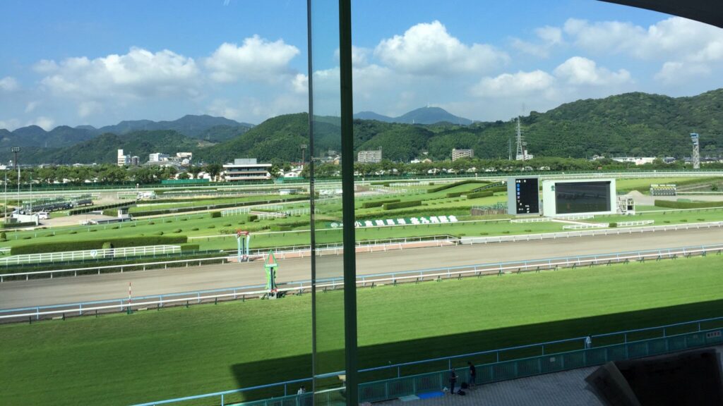 小倉競馬場の指定席から見た芝コース