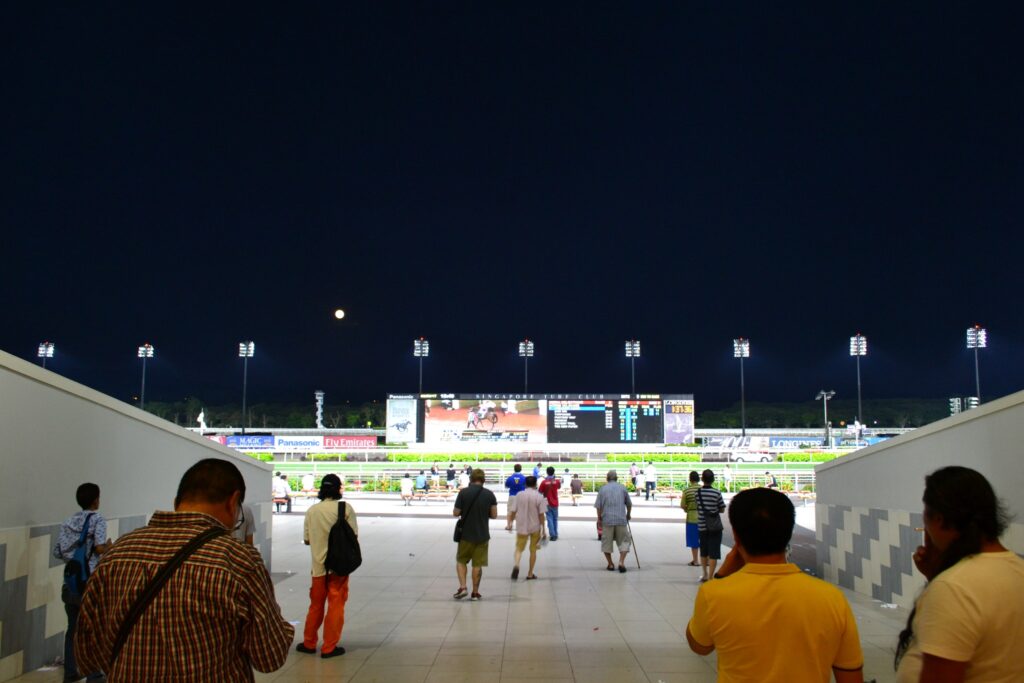 ナイターのクランジ競馬場のコースとスタンド前