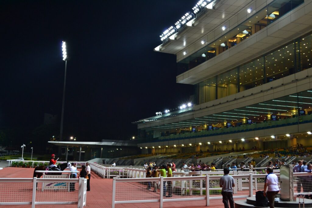 クランジ競馬場のゴール前