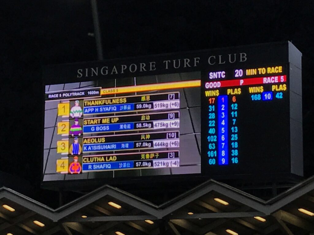 クランジ競馬場のパドックを周回する馬