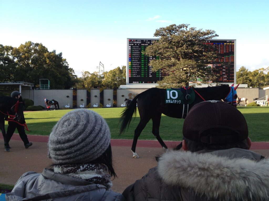 2012年京都金杯のパドックを周回する馬とオッズ板
