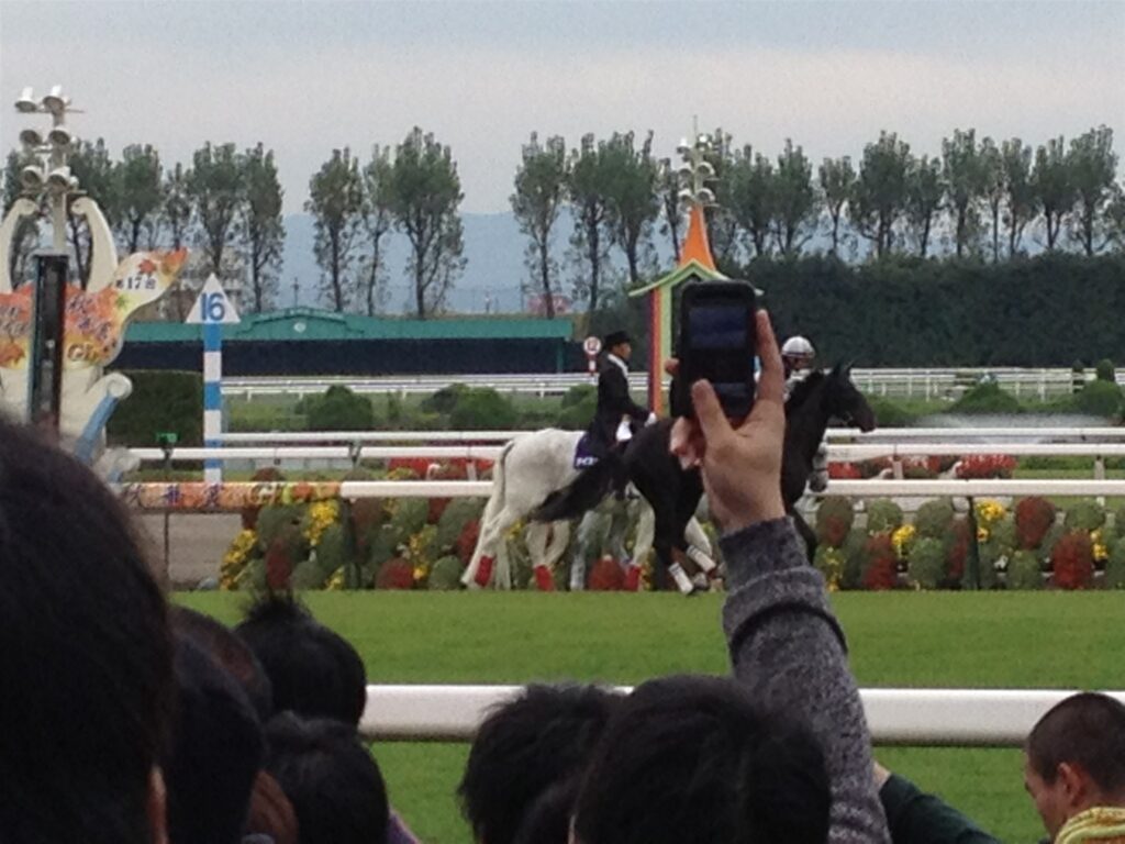 2012年秋華賞、本馬場入場する出走馬と京都競馬場の内馬場