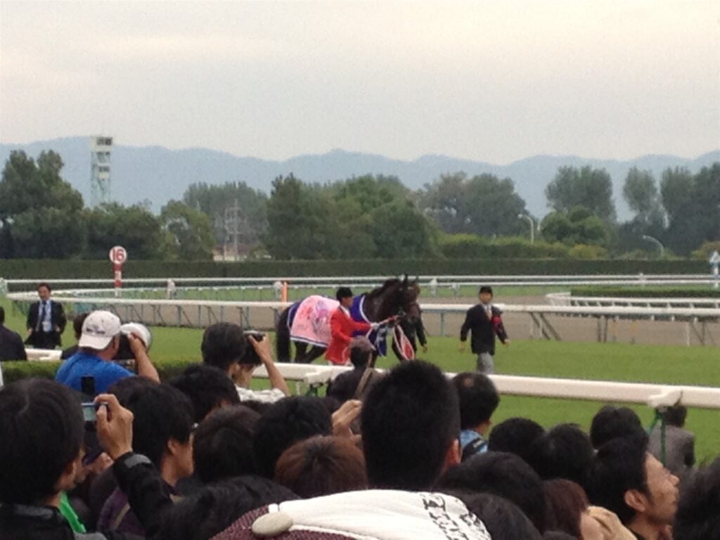 2012年秋華賞を勝ったジェンティルドンナが、ファンの前を戻ってくる