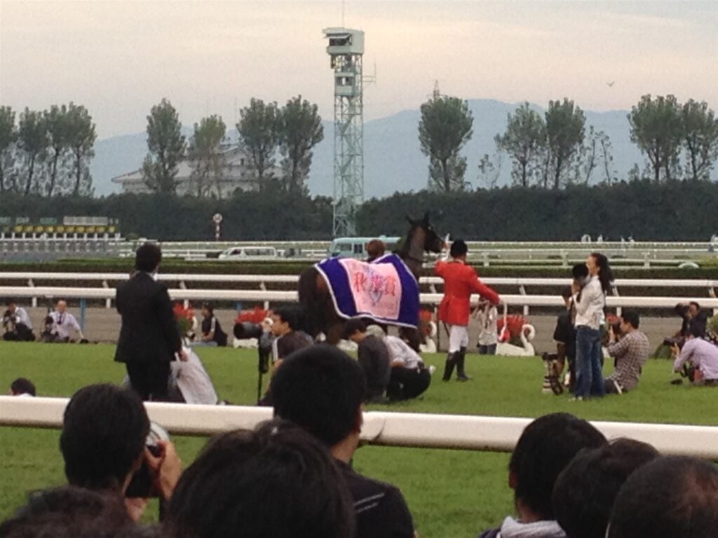 2012年秋華賞、三冠達成のピンクのゼッケンをつけたジェンティルドンナ