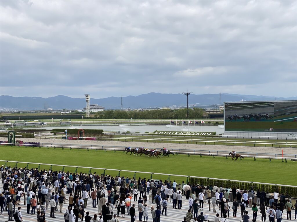 リニューアル後の京都競馬場でゴール前を駆け抜ける馬群