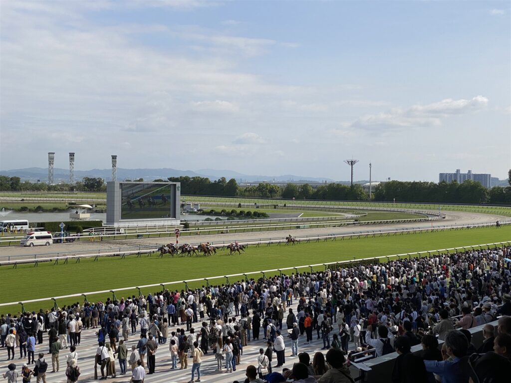 リニューアル後の京都競馬場、ラチ沿いを埋めるファン