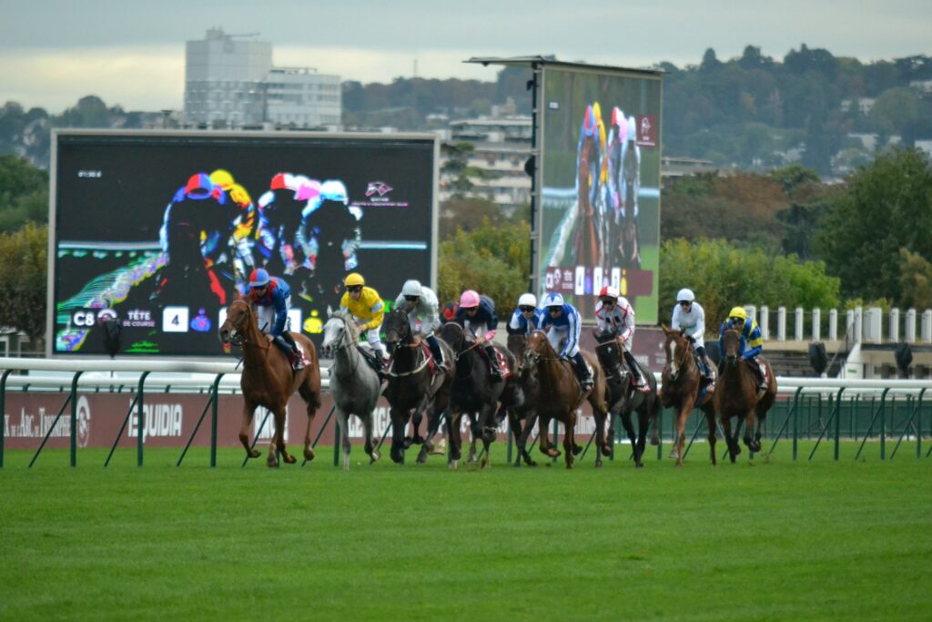 パリロンシャン競馬場の芝コース
