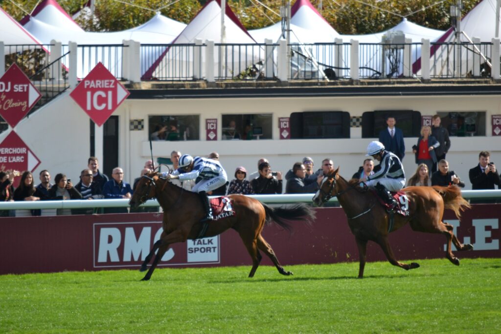 ゴール前の直線