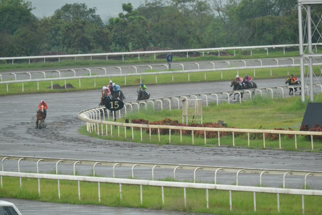 第1レース前の模擬レース