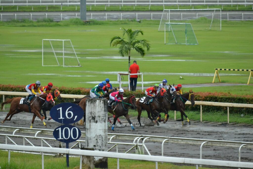 荒れた内馬場とサッカーゴール