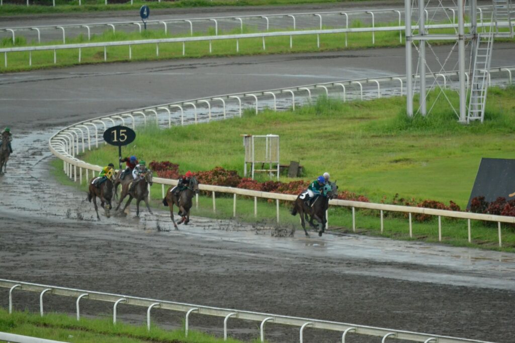 雨で不良になった土の馬場