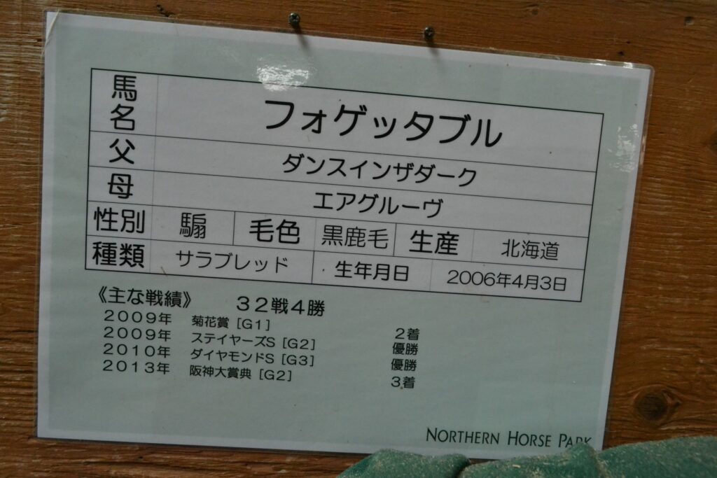 ノーザンホースパークのフォゲッタブルの馬房