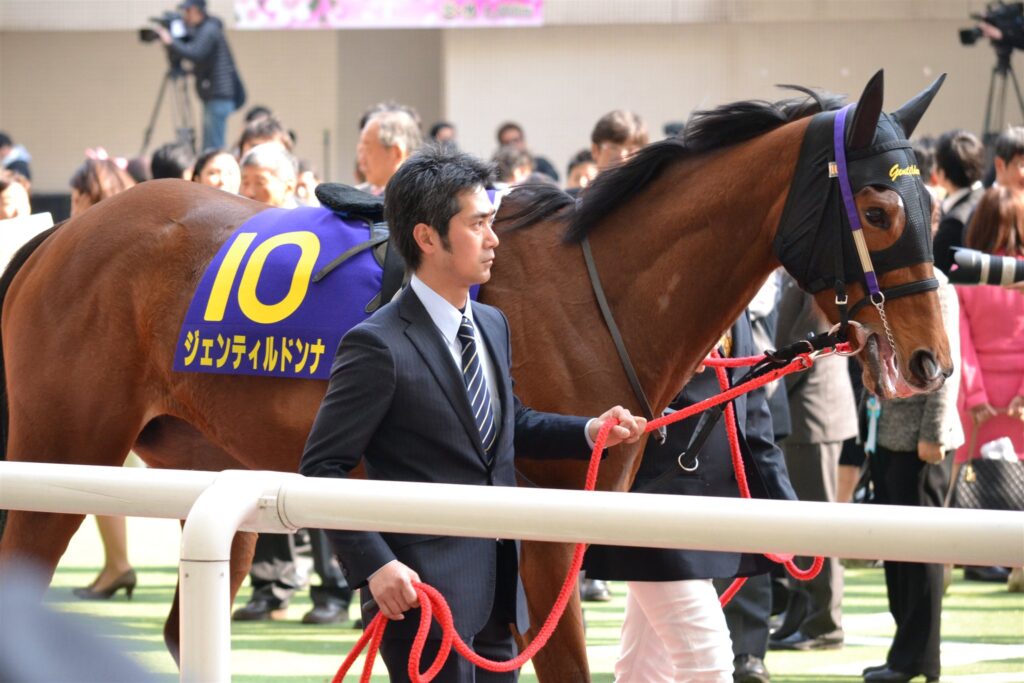 2012年桜花賞のパドックを周回する10番ジェンティルドンナ