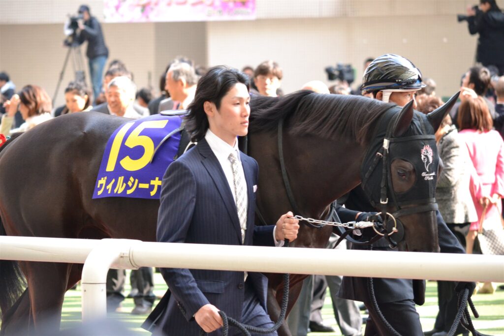 2012年桜花賞のパドックを周回する15番ヴィルシーナ