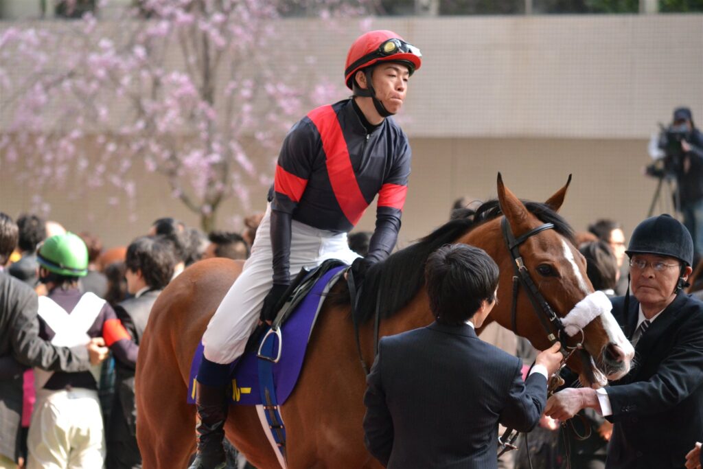 2012年桜花賞、騎手を乗せて本馬場へ向かう馬