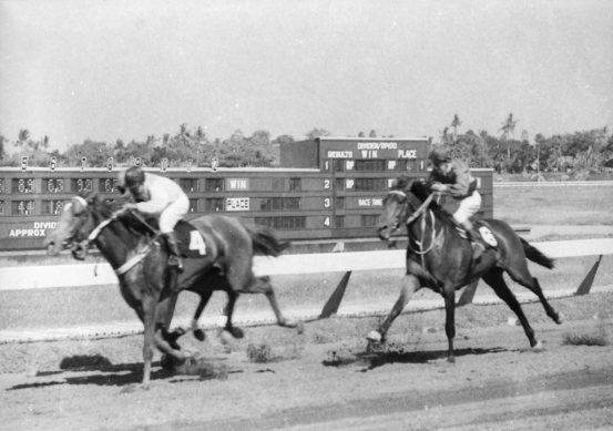 1971年、開場当時のプロマス競馬場で行われたレース