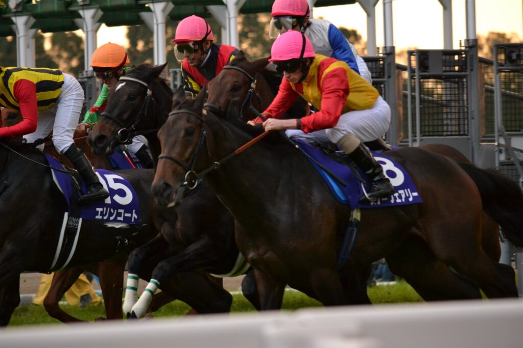 2011年エリザベス女王杯、ゲートを飛び出す馬群