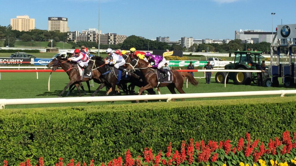 ロイヤル・ランドウィック競馬場の最後の直線を駆ける馬群