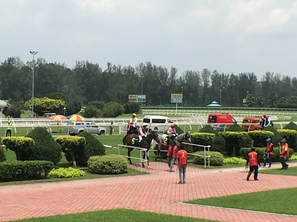 セランゴール競馬場のパドックを周回する馬
