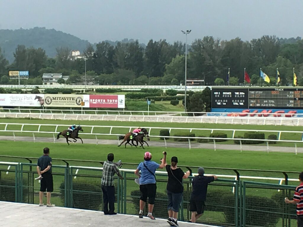 セランゴール競馬場の最後の直線を走る馬群