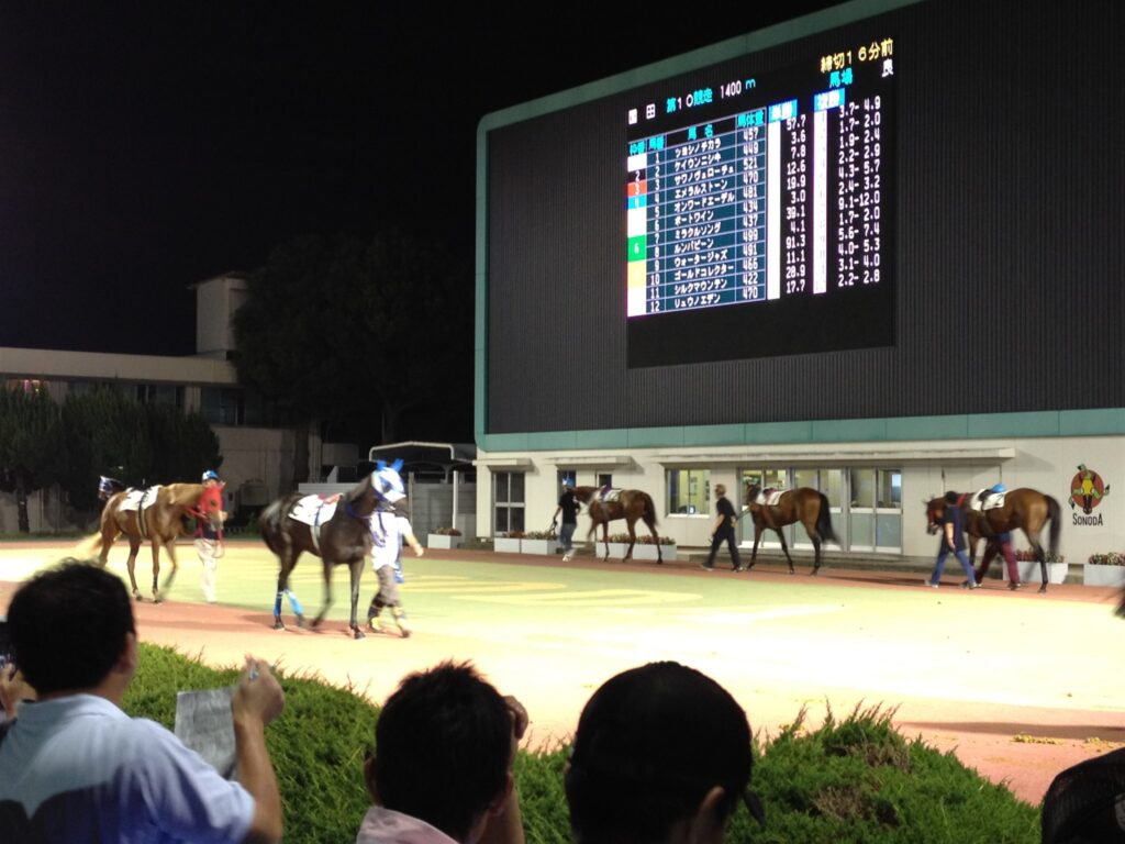 2012年9月、ナイター開催の園田競馬場パドックを周回する馬